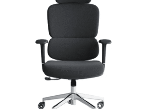 Bionic Ergonomic High Back Chair