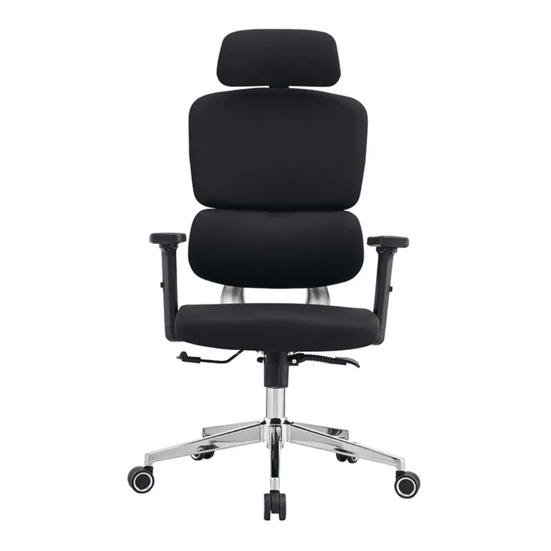 Bionic Ergonomic High Back Chair - Image 3