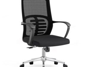 Novak-Low Back Chair