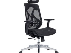 Delta-High Back Ergonomic Office Chair