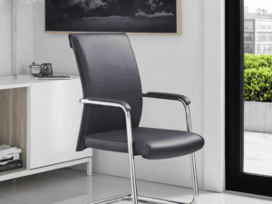 Pevit-Visitor Leather Chair