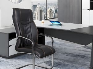 Visman-Visitor Chair