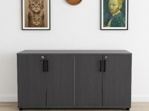 Executive Locking Credenza Bookcase