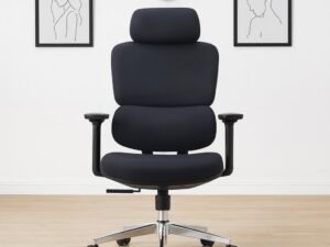 Seil High Back Ergonomic Chair