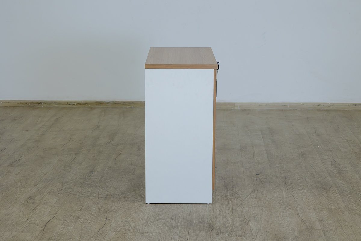 Lowline-Credenza Book Case Cabinet - Image 5