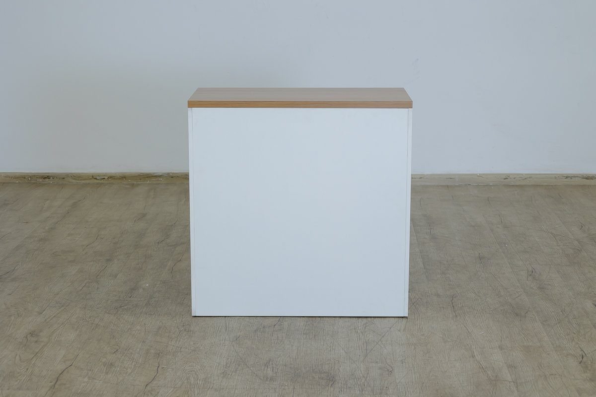 Lowline-Credenza Book Case Cabinet - Image 6