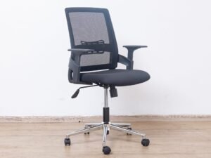 Vector-Low Back Chair